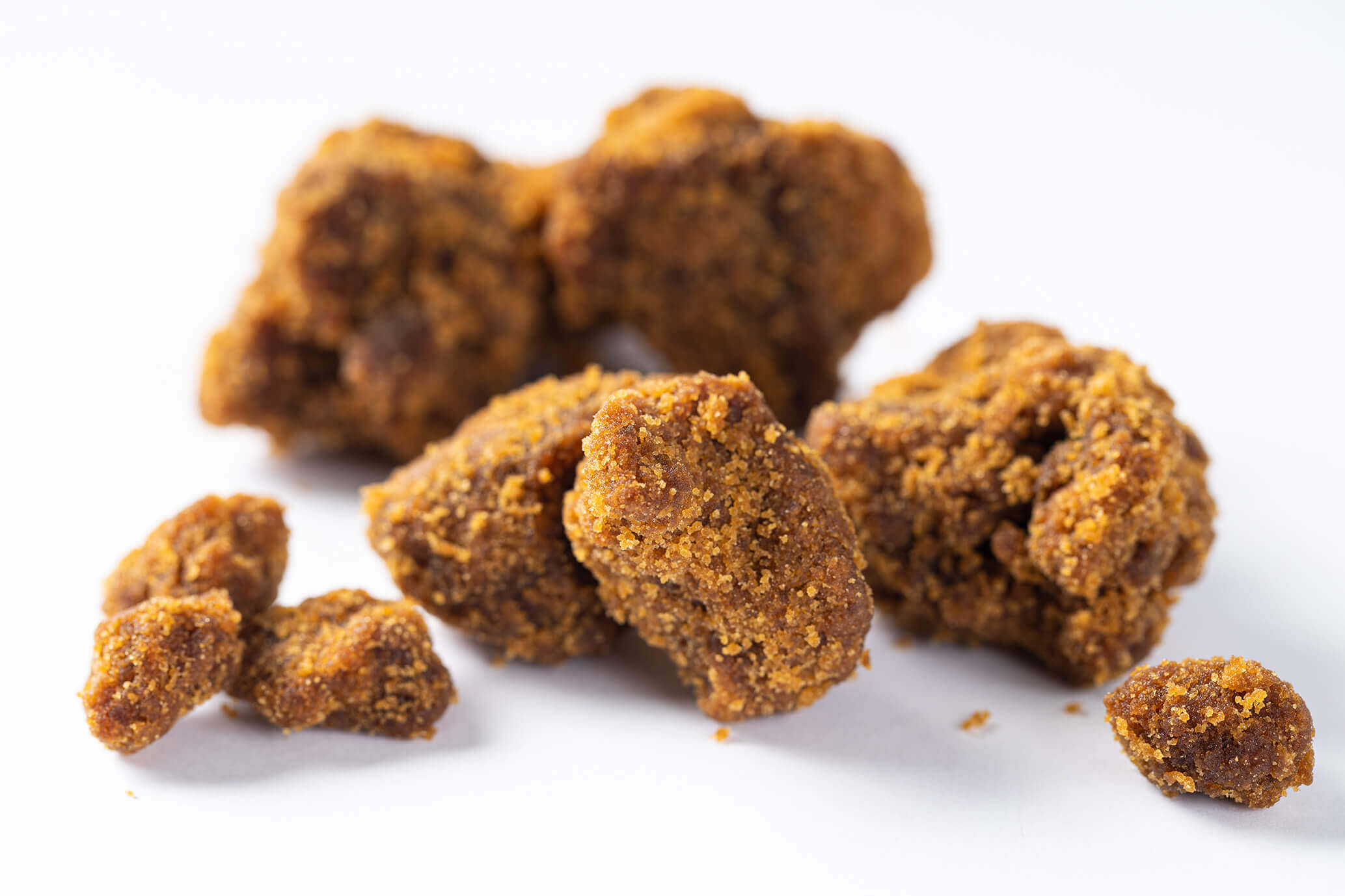 筑前町商工会様イメージカット